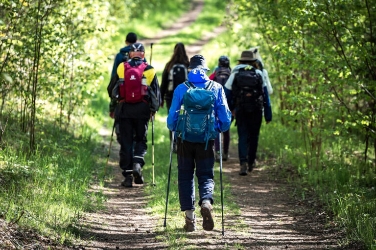 Pilgrimsliv som praktik essä