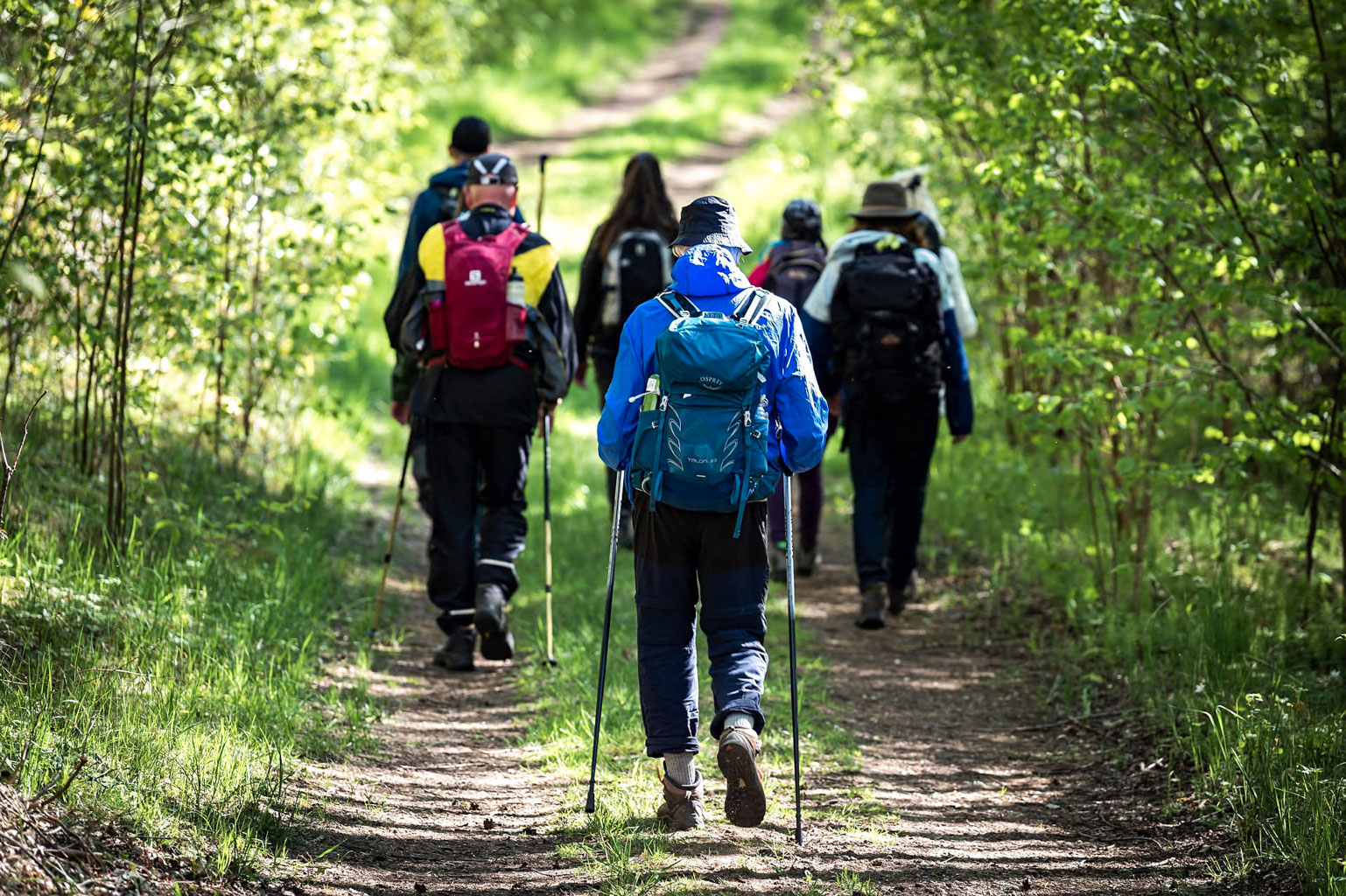 Pilgrimsliv som praktik essä