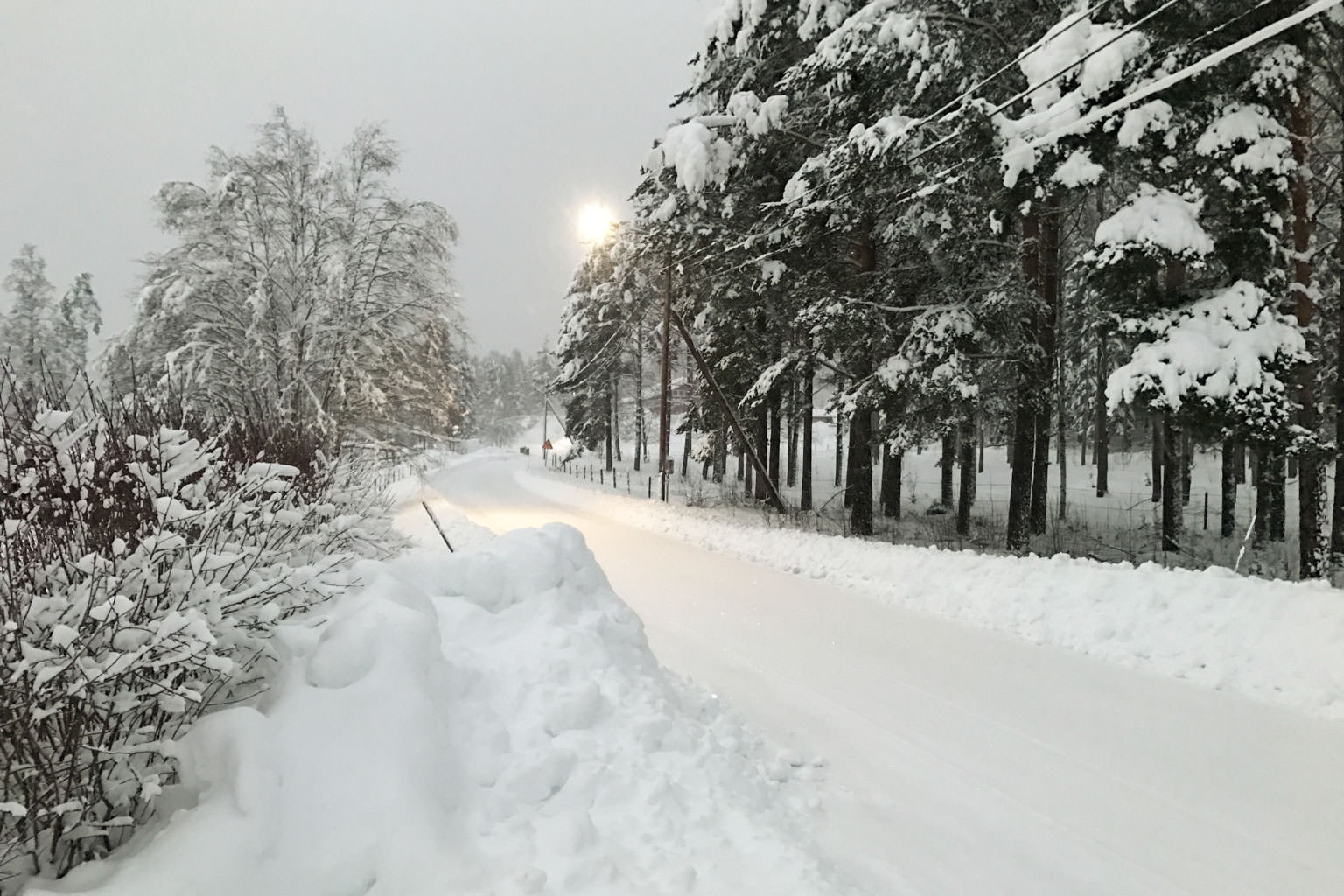 nar-langtan-vacker-dig-ljuset-ater