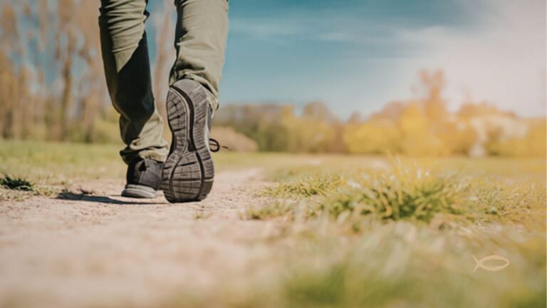 nasta steg i livet en vandrare