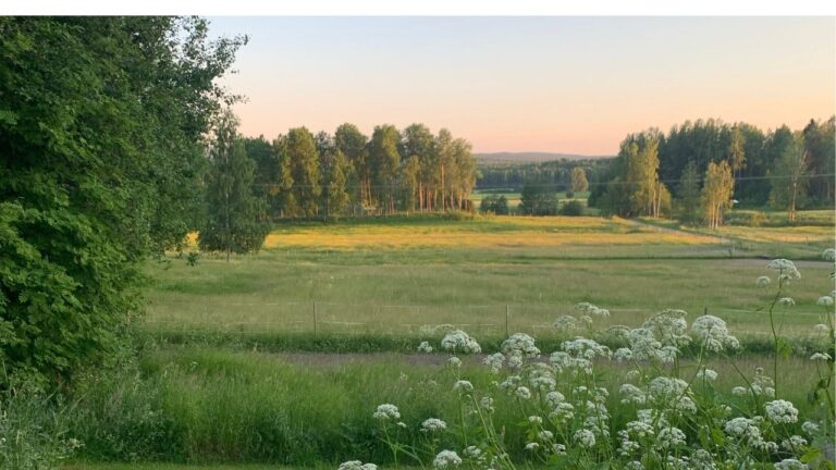 hur vet man att det är nog?