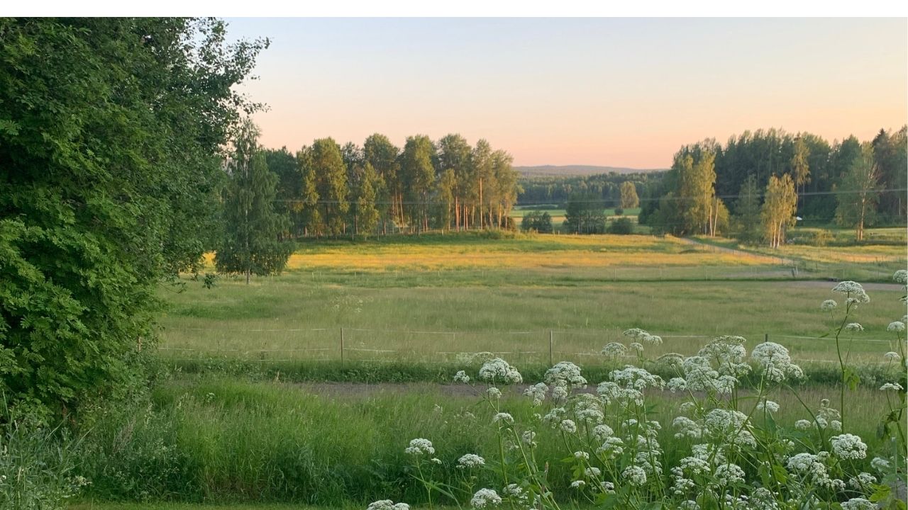 hur vet man att det är nog?
