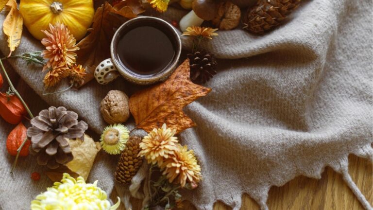 November – en tid för stillhet och återhämtning